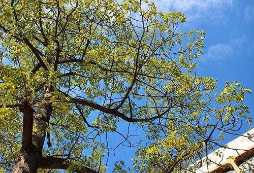 30个单词来描述幸福的句子30个单词来描述幸福的心情