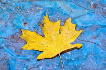 让孩子开心的10句话