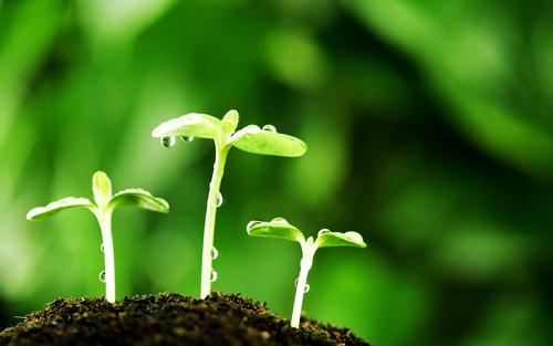 幸福和甜蜜的句子短句幸福和甜蜜的句子