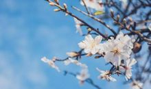 心情不开心的句子怀念 怀念过去的不开心句子简短