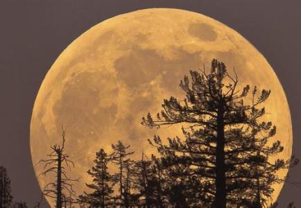 表达超级遗憾和失望的句子1