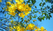 朋友圈很不开心的句子 很不开心的朋友圈说说