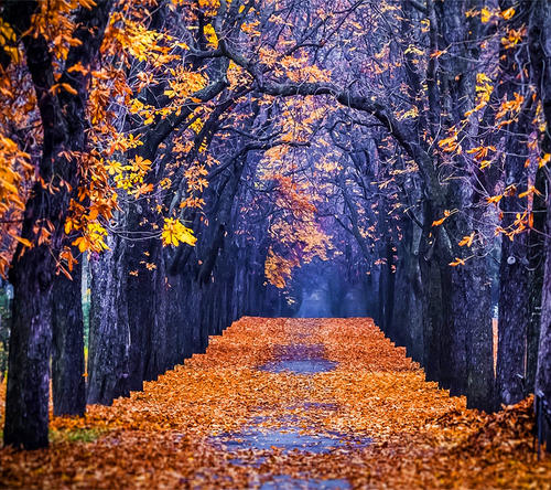 不要后悔你做了什么句子2