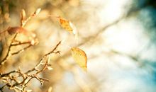 工作压抑不开心的句子说说心情 工作心塞无奈不开心的句子