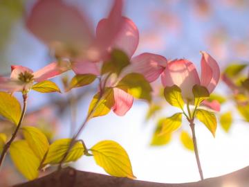 关于工作沮丧和不快乐的句子谈论情绪关于工作感到无助和不开心的句子1