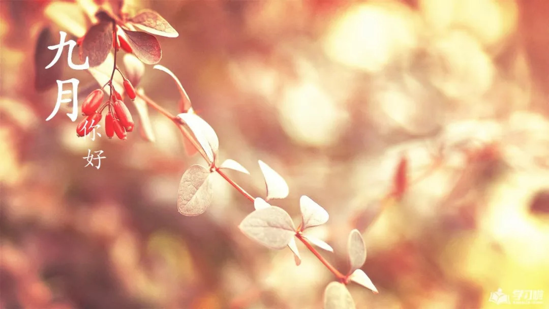 您好9月文字图片心情短语已发送至Moments 2