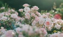 回家开心的短句子说说心情短语 一句话表达回家开心的心情