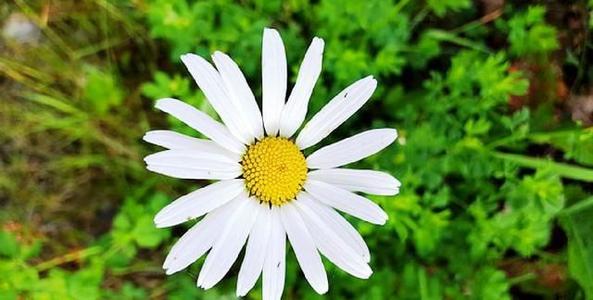 开心回家的简短句子,谈论情绪短语开心回家的简短句子1