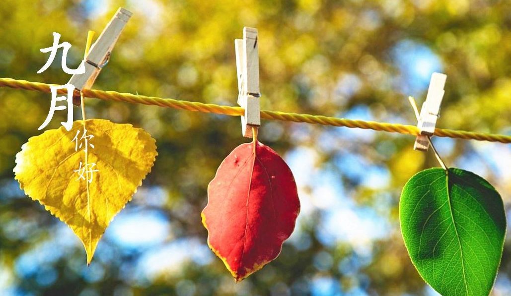 您好9月文字图片心情短语已发送给朋友圈1
