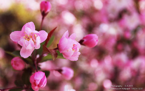 开心回家的短句谈论情绪短语一句话表示开心回家2