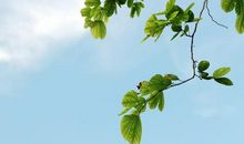 开心的句子说说心情短语 阳光正好,心情好的句子