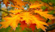 哪些不要不开心的句子 劝人不要不开心的句子