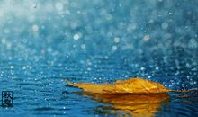 人开心时的样子的句子 开心时的样子