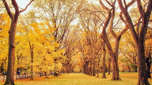 关于人们幸福时的表情的句子