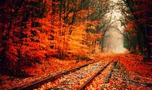 对老婆开心的句子 逗老婆开心的句子