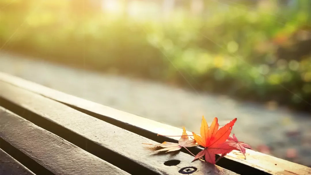 八月见，九月见，九月见，对自己1