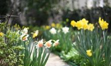 一件开心的事中的句子 最开心的一件事一句话