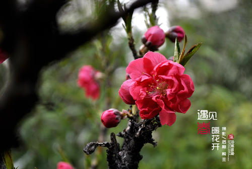 快乐中的一句话快乐中的一句话1