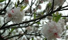 表示女生说她不开心的句子 心情低落无奈句子