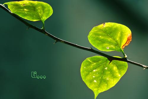 描述快乐旅行的句子简短描述快乐旅行的句子2