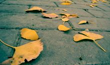 夸别人生活开心的句子 夸别人开心的句子