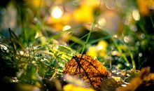 形容旅途开心的句子 出游开心的句子简短