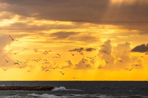 高考不及格时回想起悲伤的句子