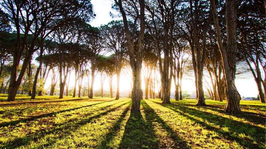 悲伤而有趣的句子谈论情绪