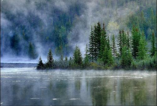 悲伤而有趣的句子谈论心情2