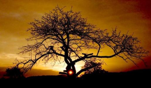 追债路上的艰辛和悲伤的句子1