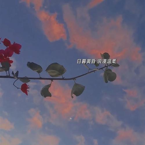 描述极端矛盾的悲伤的句子2