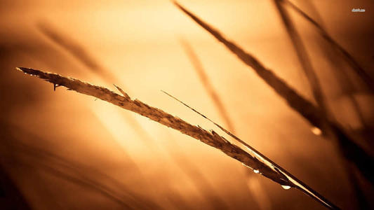 描述极端矛盾的悲伤的句子1