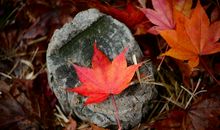 突然的不开心的句子 突然间心情不好的句子说说