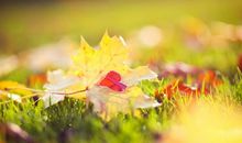 形容自己开心的句子说说心情短语 今天心情美美的句子