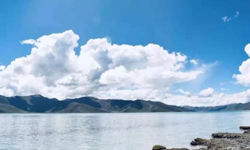 大约没有一个朋友说，可悲的是阅读一个悲伤的句子