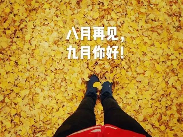您好9月，请发送8月至9月的句子