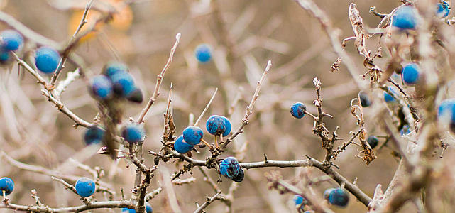 分居后的快乐句子，分居后的谈话2