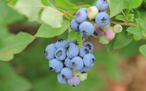 分居后的快乐句子，分居后谈论