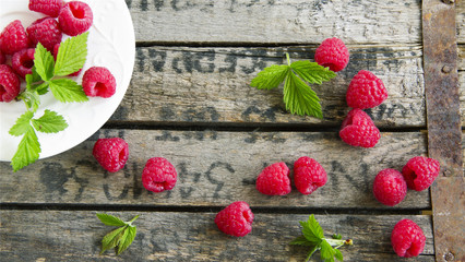 快速花钱的句子和不愉快的幽默快速花钱的幽默的句子