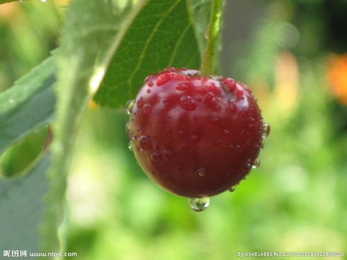 开心快乐的一天的句子开心快乐的一天的句子2