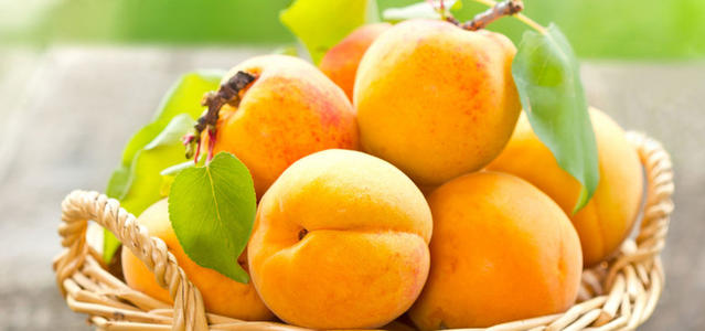 写一个关于幸福的句子