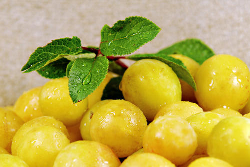 写一个关于幸福的句子。描述幸福的句子描述。 1个