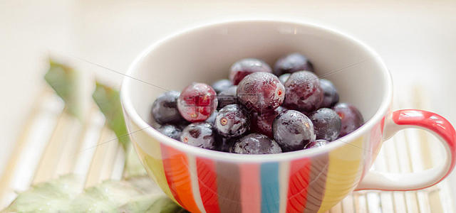 一段快乐的旅程一段一段愉快的旅程1