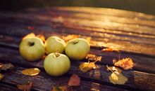 希望开心的英文句子 心情好的英文句子