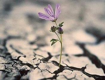 用来描述幸福的句子和单词用来描述幸福的好的单词，好的句子，好的段落