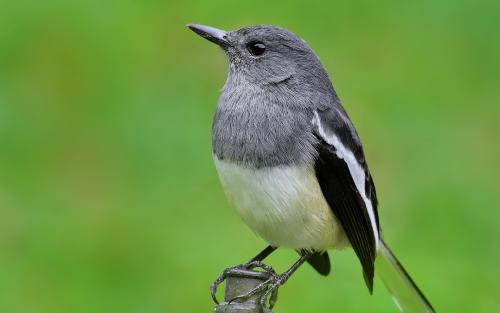 因家庭之爱而悲伤的句子,谈论情绪,谈论家庭之爱,悲伤和悲伤1
