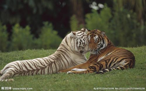 对家庭没有影响的句子