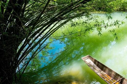 夏季诗歌和古代诗歌