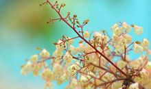 工作很忙但是很开心的句子 忙得很开心怎么表达