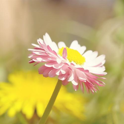 今天我和你在一起很开心，你也很开心